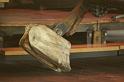 Le Manege Carre Senart concu par Francois Delaroziere 089